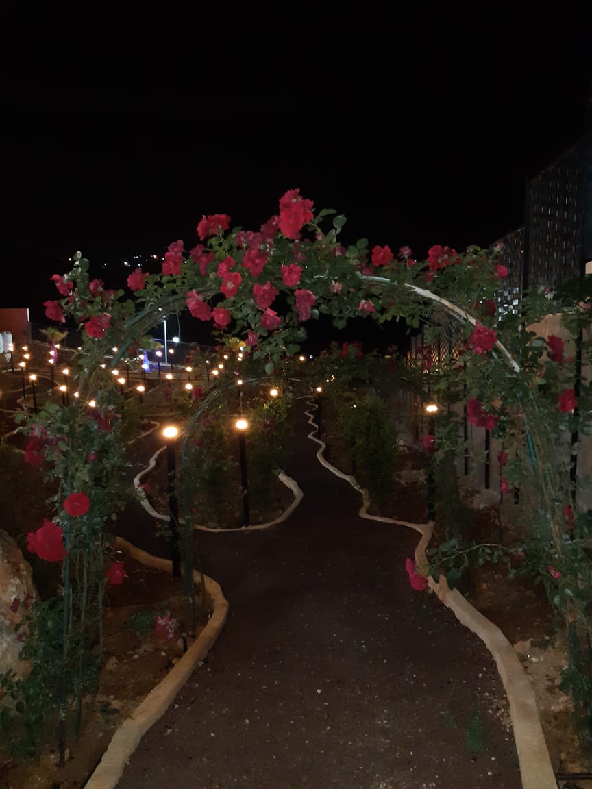مزرعة رقم 41 - جرش - دحل 