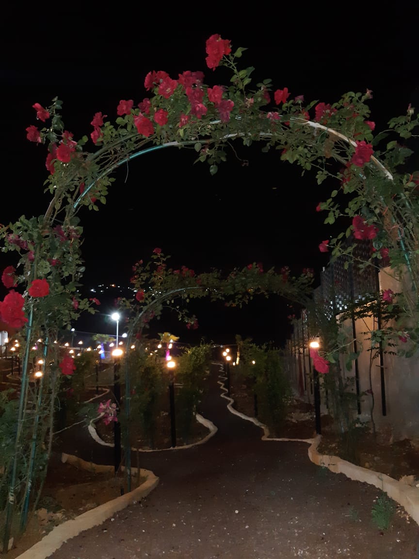 مزرعة رقم 41 - جرش - دحل 